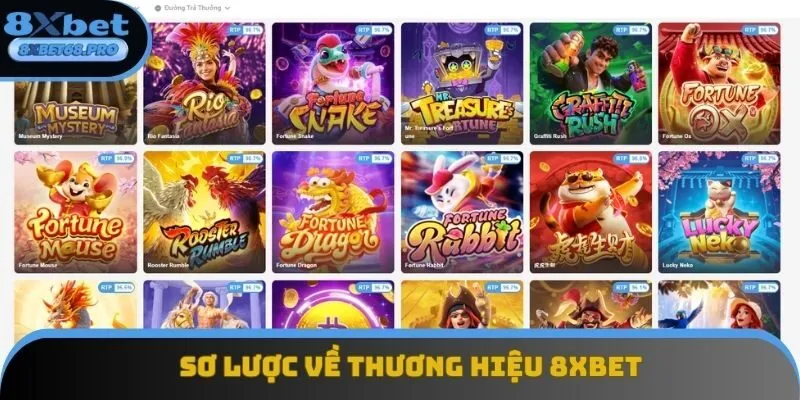 Sơ lược về thương hiệu uy tín mang tên 8xbet