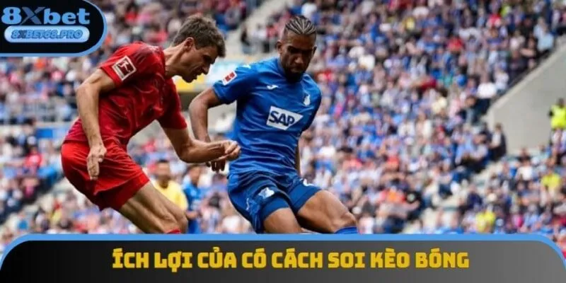 Có phương pháp soi kèo sẽ giúp bạn giảm tối đa rủi ro nhận về