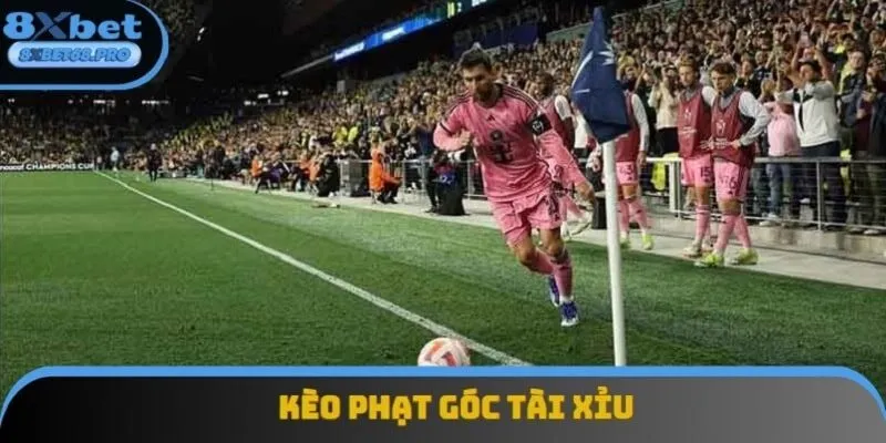 Tài xỉu là một dạng cược góc phổ biến nhất